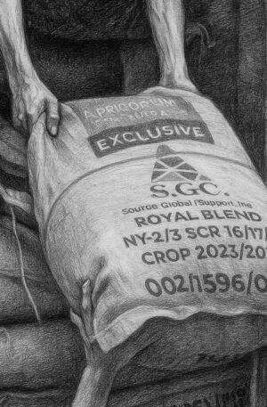 Premium Green Coffee - Straight From Colombia's Finest Plantation
