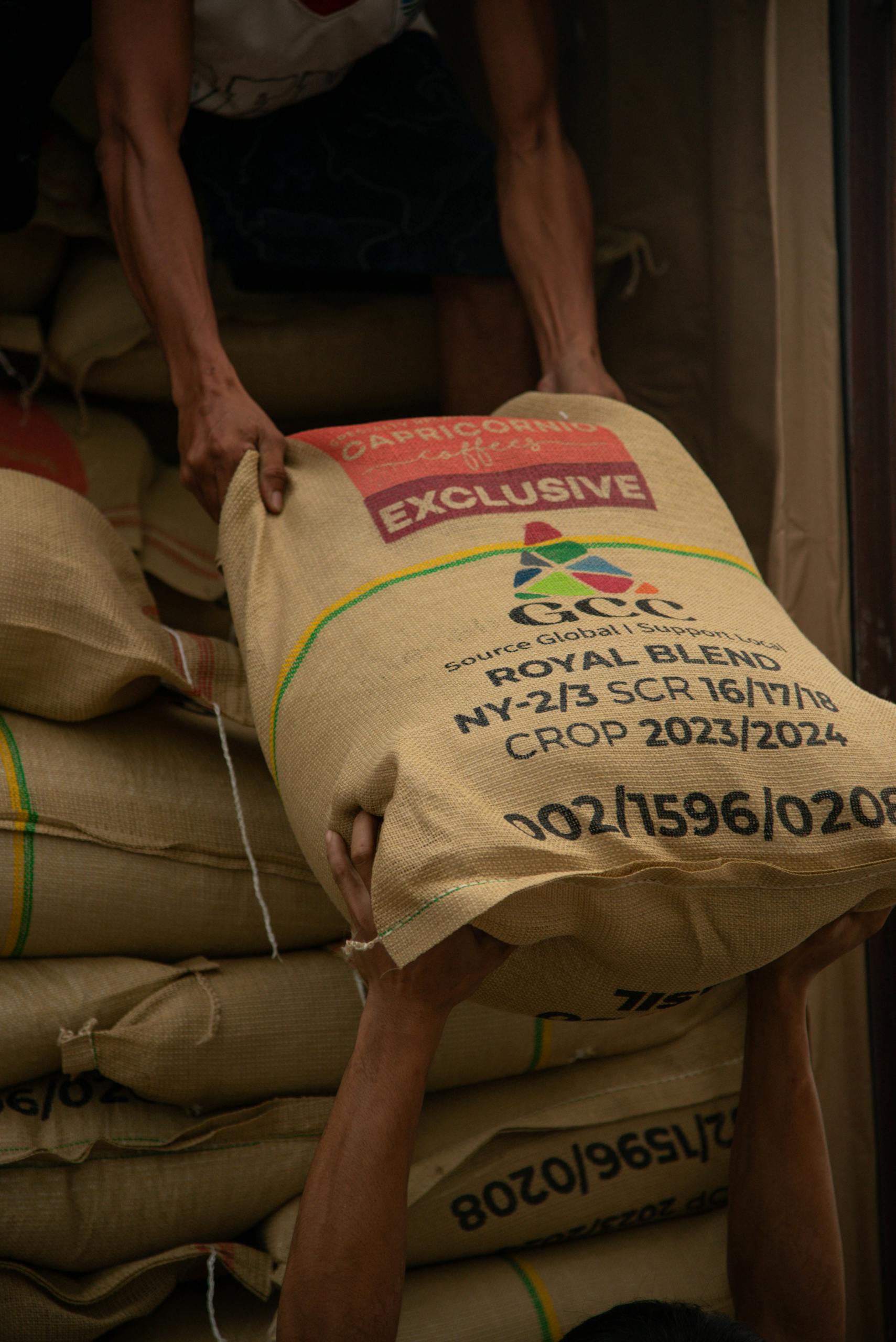 Coffee from Colombia Hands loading sacks of coffee beans labeled Royal Blend for storage and transport.